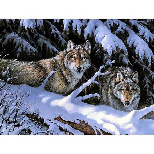 5D Diamond Painting Two Wolves behind a Snowy Tree Kit