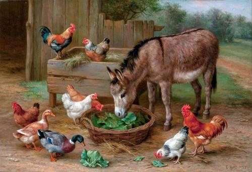 5D Diamond Painting Chickens and Donkey Kit