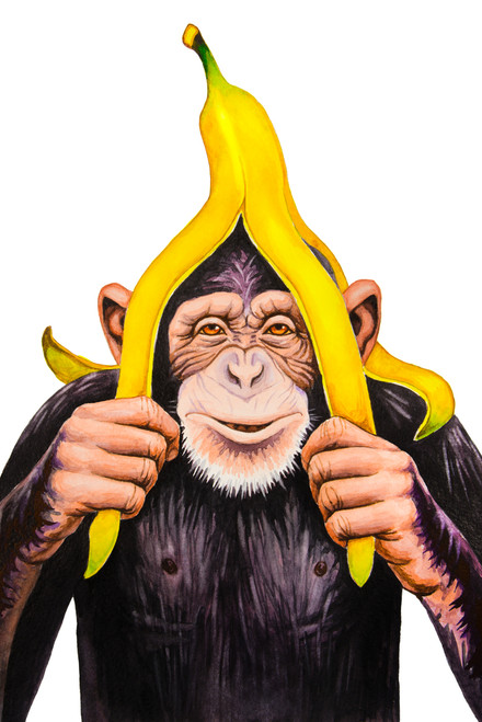 5D Diamond Painting Banana Head Monkey Kit