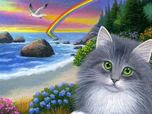 5D Diamond  Painting Grey Cat and Rainbow Kit