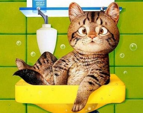 5D Diamond Painting Cat in the Sink Kit