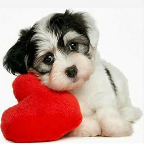 5D Diamond Painting Heart and Puppy Kit