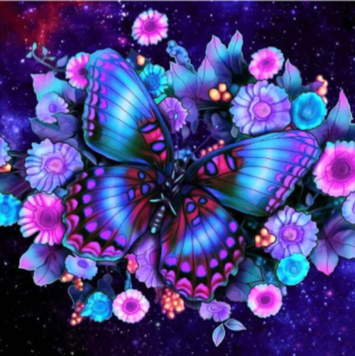 5D Diamond Painting Galaxy Butterfly and Flowers Kit