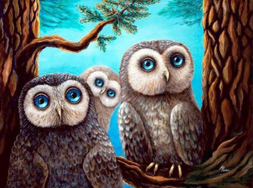 5D Diamond Painting Three Blue Eyed Owls Kit