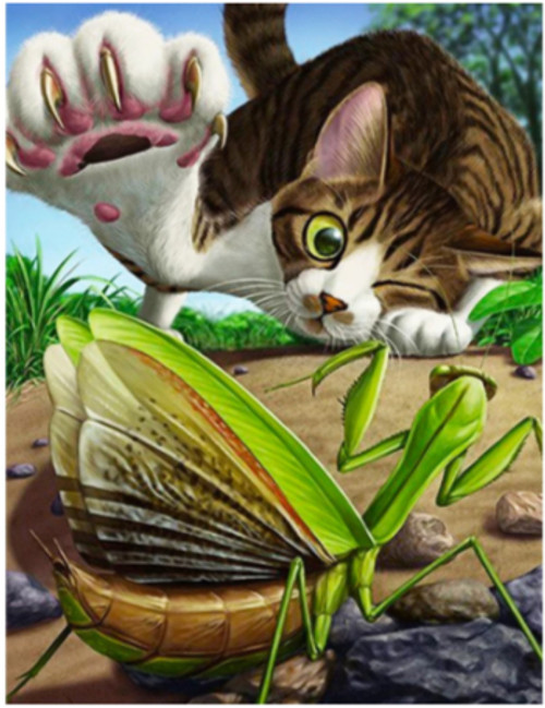 5D Diamond Painting Cat and Praying Mantis Kit