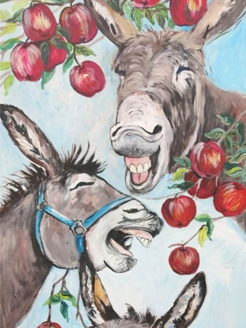 5D Diamond Painting Laughing Donkeys Kit