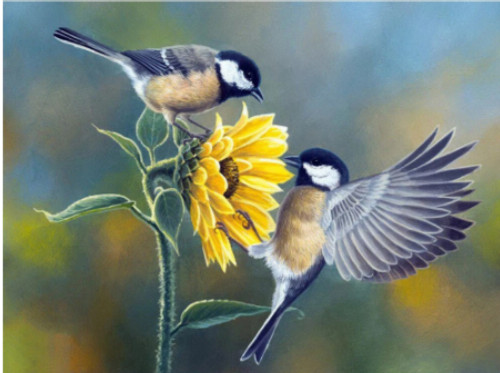 5D Diamond Painting Two Birds on a Sunflower Kit