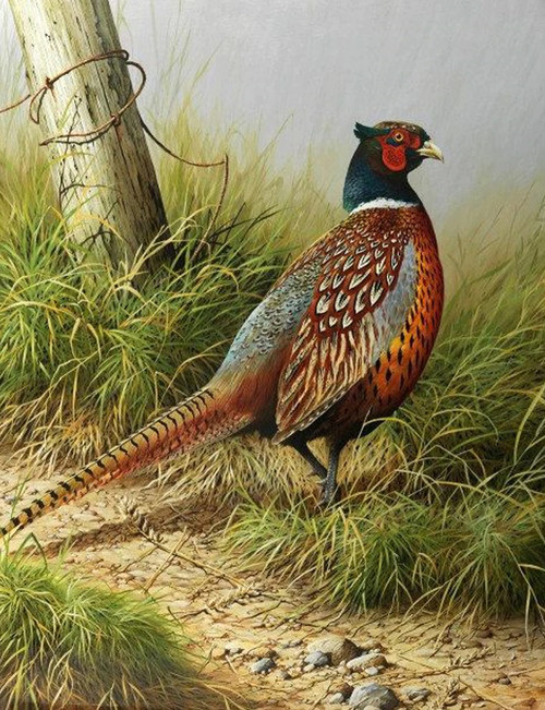 5D Diamond Painting Pheasant in the Weeds Kit