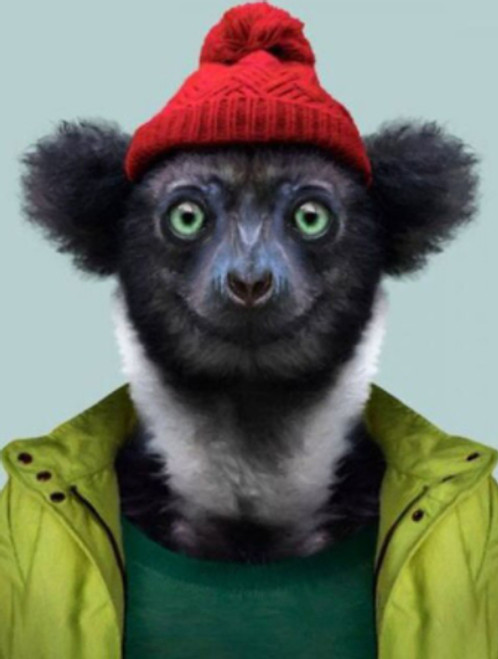 5D Diamond Painting Abstract Beanie Lemur Kit