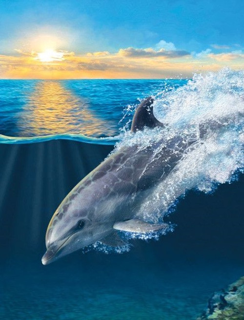 5D Diamond Painting Dolphin Under Water Kit