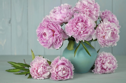 5D Diamond Painting Green Vase of Pink Peonies Kit