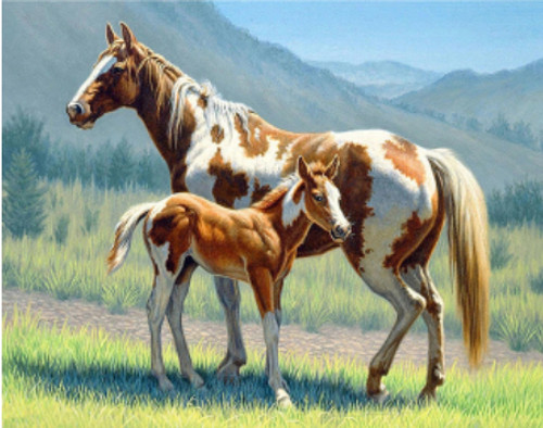 5D Diamond Painting Brown and White Horse and Foal Kit