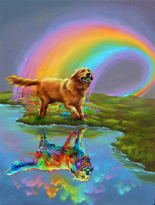 5D Diamond Painting Rainbow Dog Reflection Kit