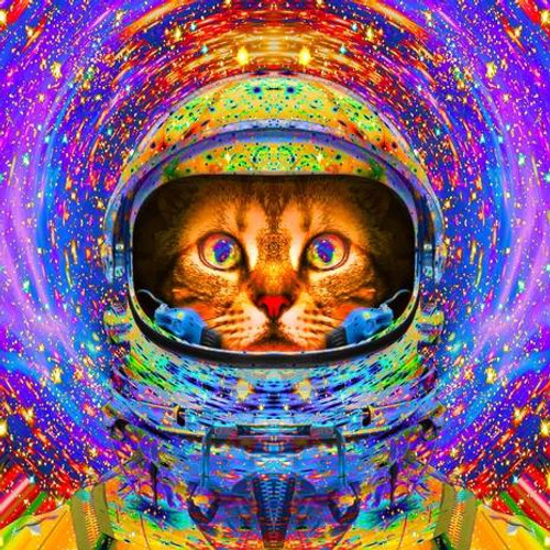 5D Diamond Painting Abstract Astronaut Cat Kit