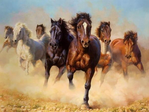 5D Diamond Painting Dusty Horse Stampede Kit