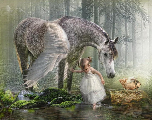 5D Diamond Painting Pegasus, Girl and a Piglet Kit