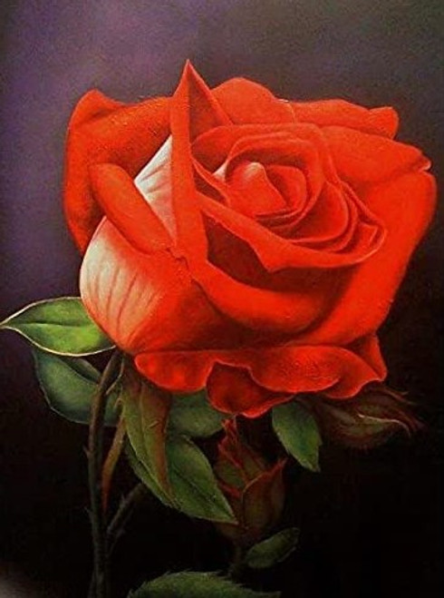 5D Diamond Painting Beautiful Rose Kit