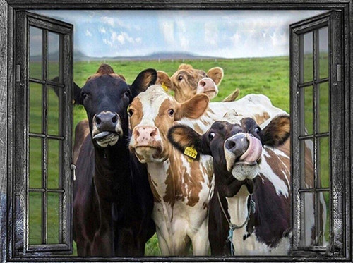 5D Diamond Painting Cows in the Window Kit