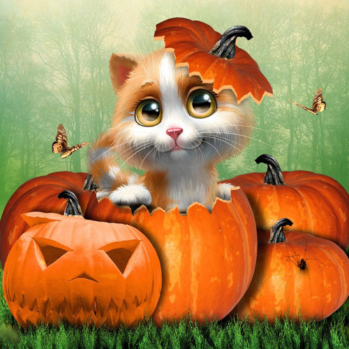 5D Diamond Painting Pumpkin Cat