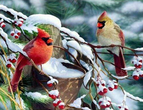5D Diamond Painting Berries and Birds in the Snow Kit
