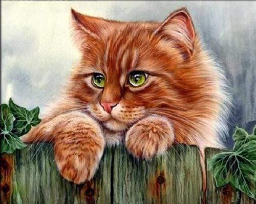 5D Diamond Painting Striped Cat on the Fence Kit