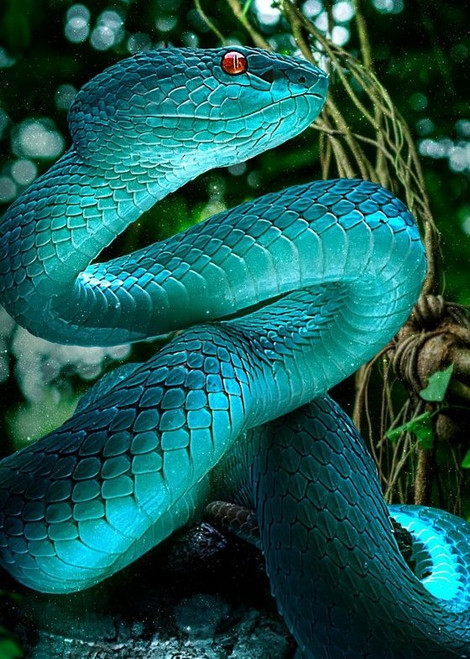 5D Diamond Painting Turquoise Snake Kit