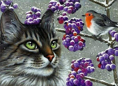 5D Diamond Painting Cat and a Robin Kit
