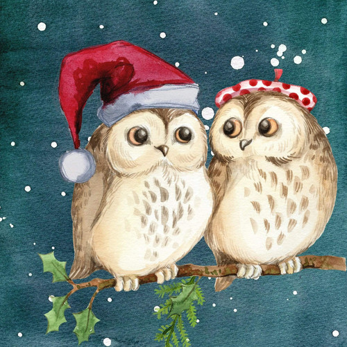 5D Diamond Painting Two Christmas Owls kit