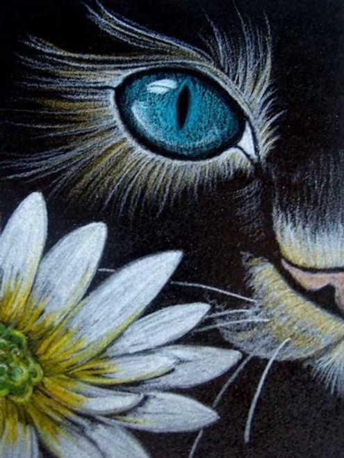 5D Diamond Painting Blue Cat Eye and Daisy Kit