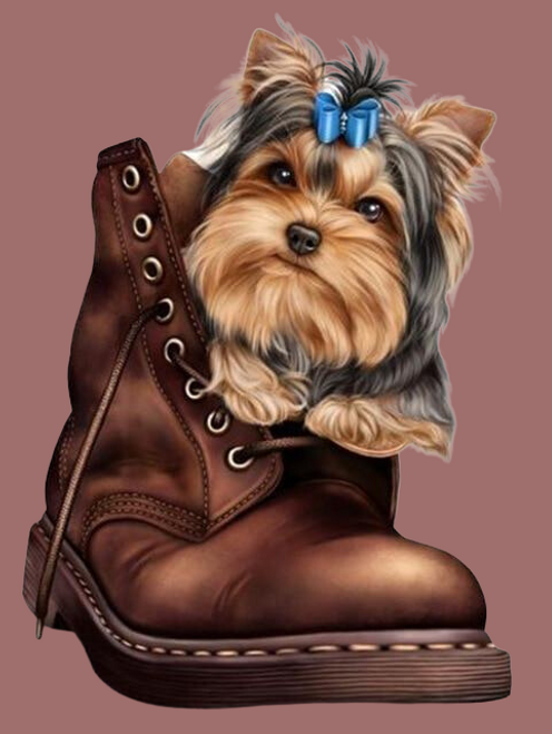 5D Diamond Painting Yorkie in a Boot Kit