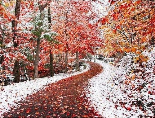 5D Diamond Painting Fall Leaves and Snow Road Kit