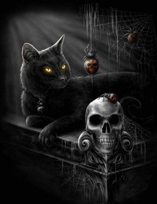 5D Diamond Painting Black Cat Skull Kit