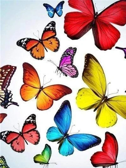 5D Diamond Painting Multi Colored Butterflies Kit