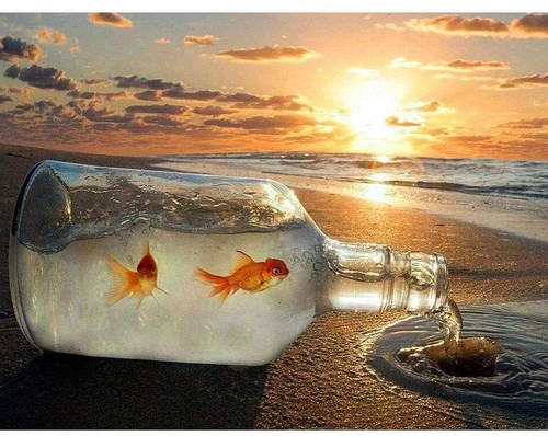 5D Diamond Painting Two Goldfish in a Bottle Kit