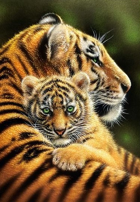 5D Diamond Painting Green Eyes Tiger Cub Kit