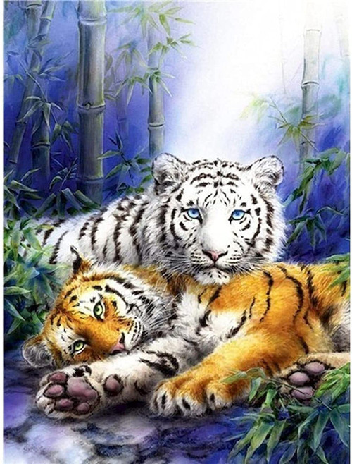 5D Diamond Painting White and Orange Tiger Kit