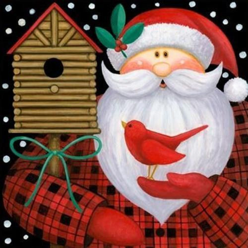 5D Diamond Painting Santa and a Red Bird Kit