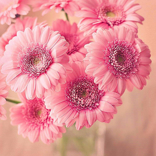 5D Diamond Painting Vase of Light Pink Flowers Kit