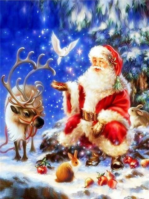 5D Diamond Painting Santa and a Dove Kit