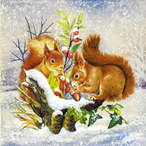 5D Diamond Painting Two Squirrels and Berries Kit