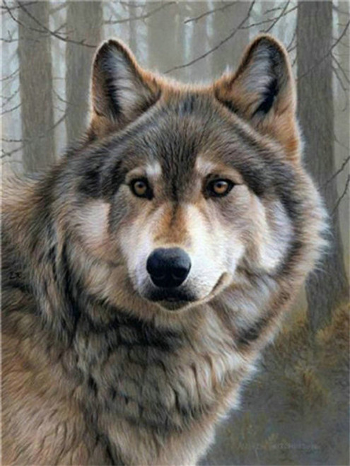 5D Diamond Painting Forest Wolf Kit