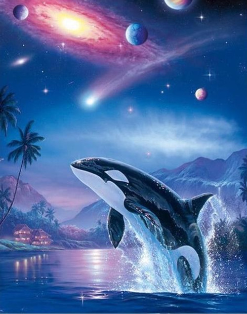 5D Diamond Painting Orca Galaxy Kit