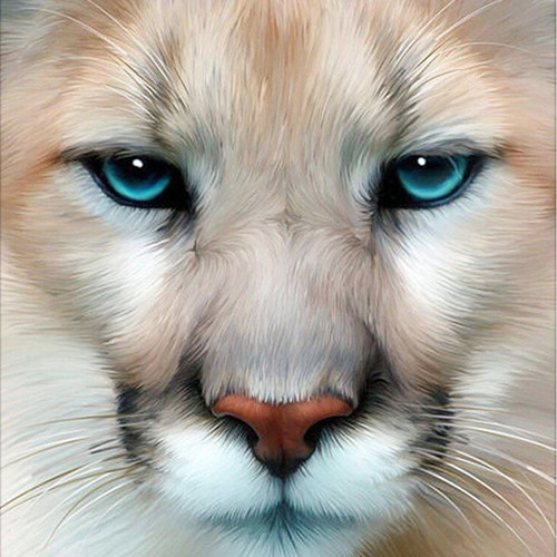 5D Diamond Painting Blue Eyed Cougar Kit