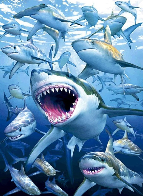 5D Diamond Painting Shark Attack Kit