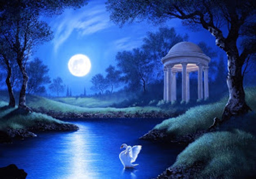 5D Diamond Painting Swan in the Moonlight Kit