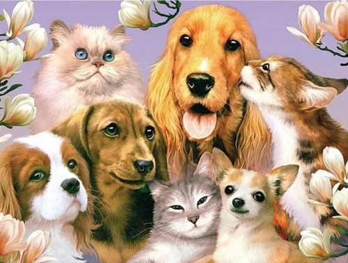 5D Diamond Painting Happy Dogs and Cats Kit