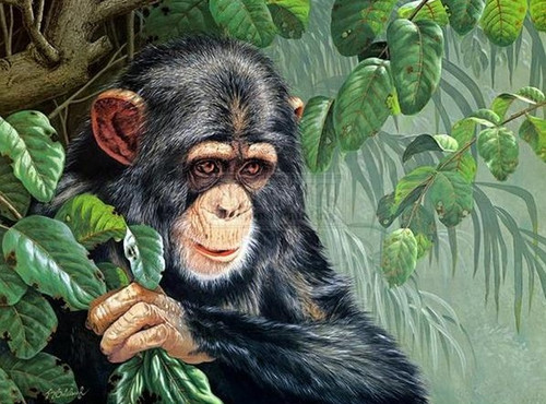 5D Diamond Painting Chimpanzee in the Leaves Kit
