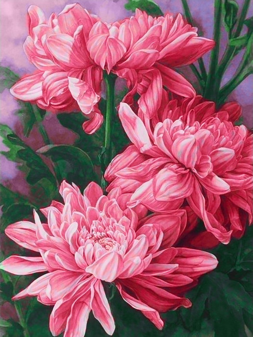5D Diamond Painting Pink Petal Flowers Kit