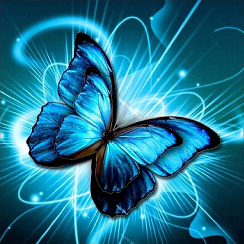 5D Diamond Painting Electric Blue Butterfly Kit