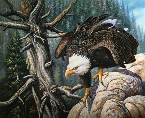 5D Diamond Painting Eagle Tree Kit